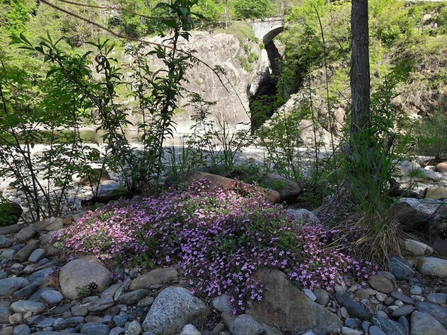 Appartamento La Meridiana A Traffiume Cannobio Exteriér fotografie