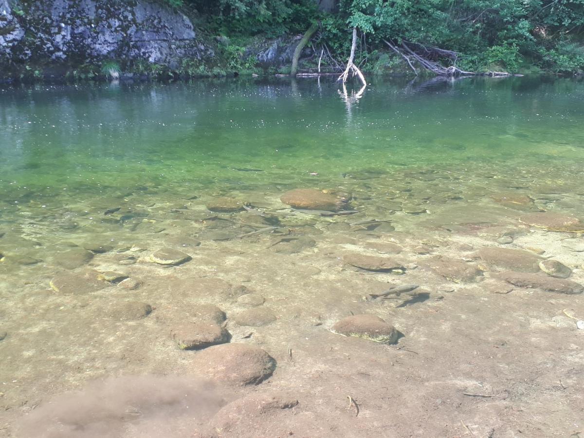 Appartamento La Meridiana A Traffiume Cannobio Exteriér fotografie